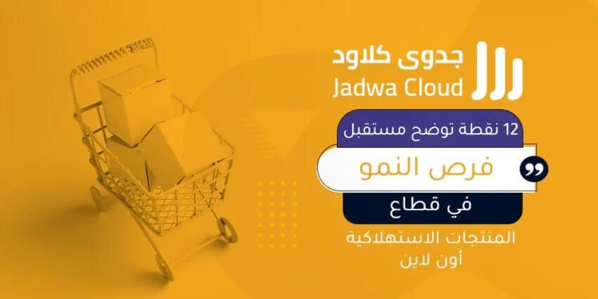 12 نقطة توضح مستقبل فرص النمو في قطاع المنتجات الاستهلاكية أون لاين